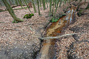 BUITEN BEELD Foto: 333143