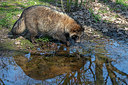 BUITEN BEELD Foto: 333175