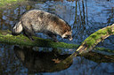 BUITEN BEELD Foto: 333179