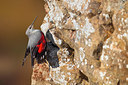BUITEN BEELD Foto: 333298