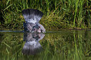 BUITEN BEELD Foto: 333346