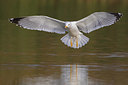 BUITEN BEELD Foto: 333356