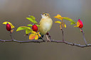 BUITEN BEELD Foto: 333358