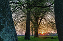 BUITEN BEELD Foto: 333484