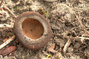 BUITEN BEELD Foto: 333708