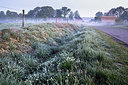 BUITEN BEELD Foto: 333729
