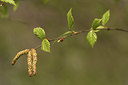 BUITEN BEELD Foto: 333831