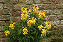BUITEN BEELD Foto: 333834