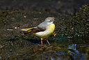 BUITEN BEELD Foto: 333874