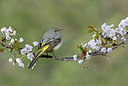 BUITEN BEELD Foto: 333876