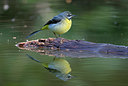 BUITEN BEELD Foto: 333879