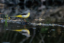 BUITEN BEELD Foto: 333884