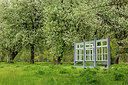 BUITEN BEELD Foto: 333895