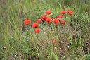 BUITEN BEELD Foto: 333948