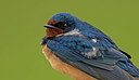 BUITEN BEELD Foto: 334032