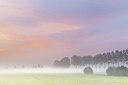 BUITEN BEELD Foto: 334084