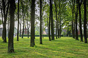 BUITEN BEELD Foto: 334089