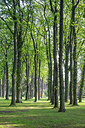 BUITEN BEELD Foto: 334093
