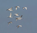 BUITEN BEELD Foto: 334123