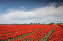 BUITEN BEELD Foto: 334170