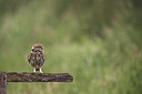 BUITEN BEELD Foto: 334206