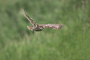 BUITEN BEELD Foto: 334214
