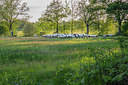 BUITEN BEELD Foto: 334280