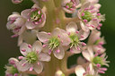 BUITEN BEELD Foto: 334324
