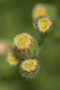 BUITEN BEELD Foto: 334346
