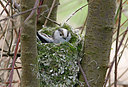 BUITEN BEELD Foto: 334543