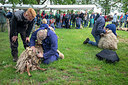 BUITEN BEELD Foto: 334562