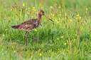 BUITEN BEELD Foto: 334620