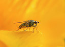 BUITEN BEELD Foto: 334692