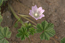 BUITEN BEELD Foto: 334709