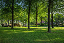 BUITEN BEELD Foto: 334719