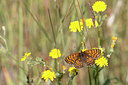 BUITEN BEELD Foto: 334995