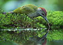 BUITEN BEELD Foto: 335074