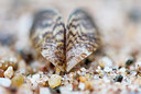 BUITEN BEELD Foto: 335133