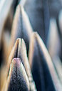 BUITEN BEELD Foto: 335165