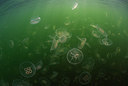 BUITEN BEELD Foto: 335227
