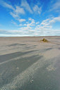 BUITEN BEELD Foto: 335231