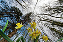 BUITEN BEELD Foto: 335371