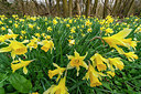 BUITEN BEELD Foto: 335381