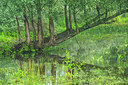 BUITEN BEELD Foto: 335510