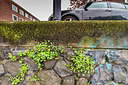 BUITEN BEELD Foto: 335513