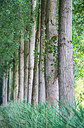 BUITEN BEELD Foto: 335540