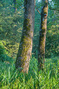 BUITEN BEELD Foto: 335660