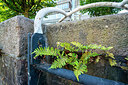 BUITEN BEELD Foto: 335677