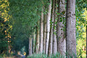 BUITEN BEELD Foto: 335685