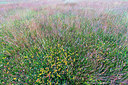 BUITEN BEELD Foto: 335691